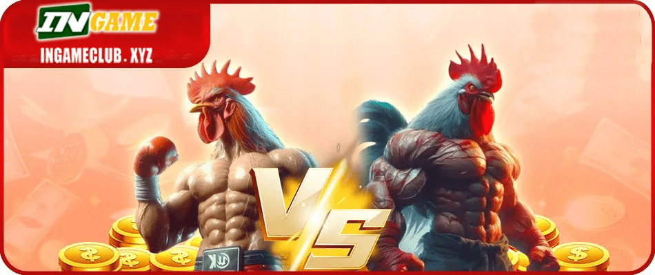 77BET cockfighting banner hp