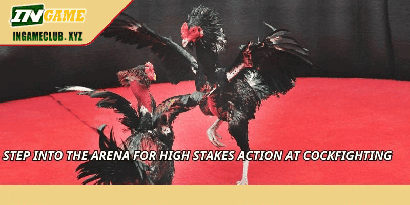 Safer online casino play and INR account access on 77BET